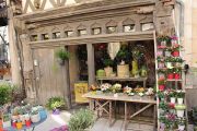 Flower Shop