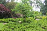 Heather Borders 1