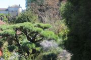 Botanical Gardens (2)