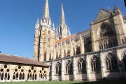 Cathedral (3)