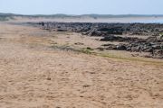 Beach (4)