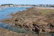 Ploumanach (1)