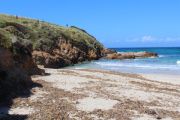Grand Capo 1