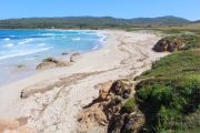 Grand Capo 2