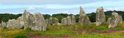 Carnac Alignments 1