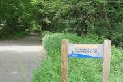 Forest Of Compiegne