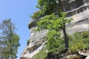 Scenery 1
