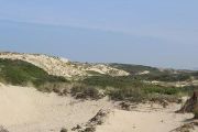 Dunes