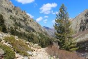 Back Along Gorges
