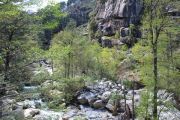 Bottom Of Gorges