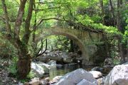 Gorges Bridge