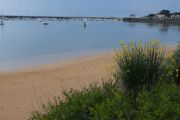 Beach (3)
