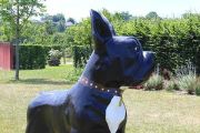 Colette Dog