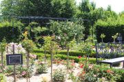 Rose Garden