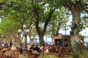 Cafe Life
