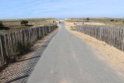 Approach To Beach