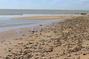 Beach 4