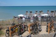 Bikes Cafe