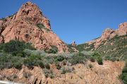 Jagged Red Rocks