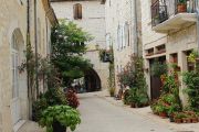 Flowers In Medieval Street