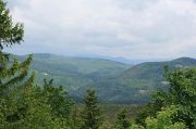 Mont St Odile 1