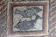 Fish Mosaic In Baths
