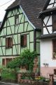 Green House