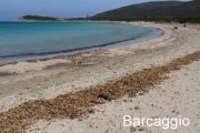 Barcaggio Beach