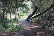 Park