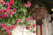 Cafe Entrance