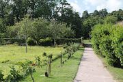 Beauport Abbey Gardens 1