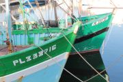 Harbour 6