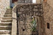 Arch And Cactus