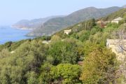 Coast At Pino