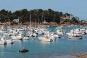 Harbour (2)