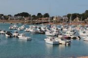 Harbour (3)