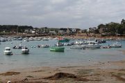 Harbour (4)