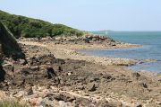 Port De Crouesty 2