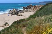 Golfe De Valinco Beach