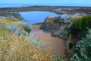 Coast Walk (1)