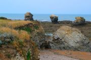 Coast Walk (2)