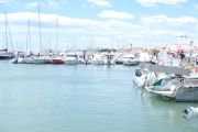 Boats In Harbour