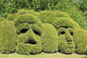 Masks